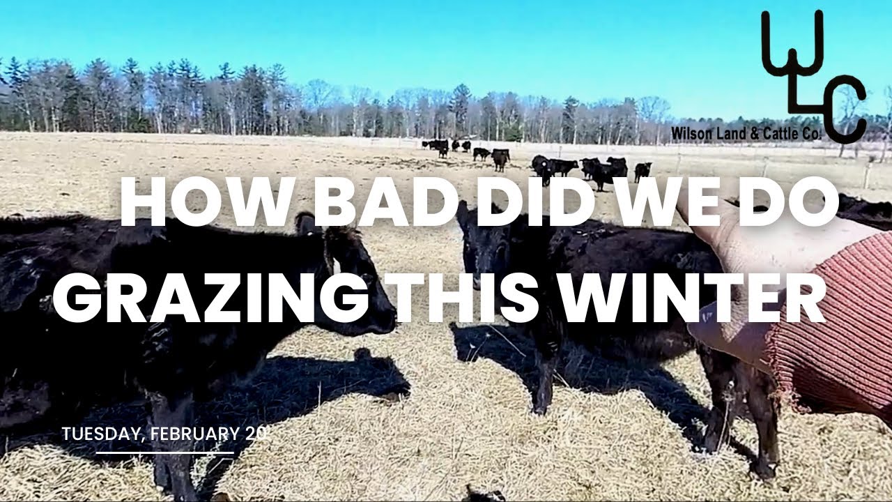 Let&rsquo;s look at what was left behind from snow grazing