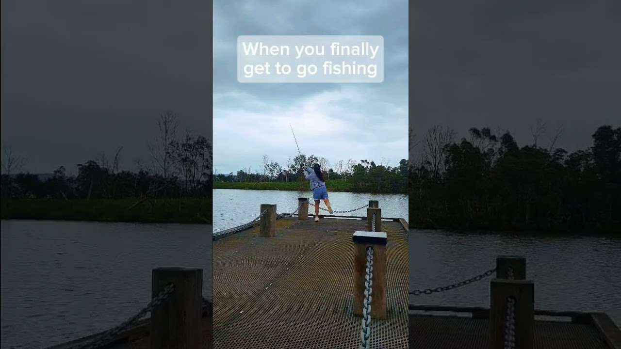 Dtf? Down to fish? 