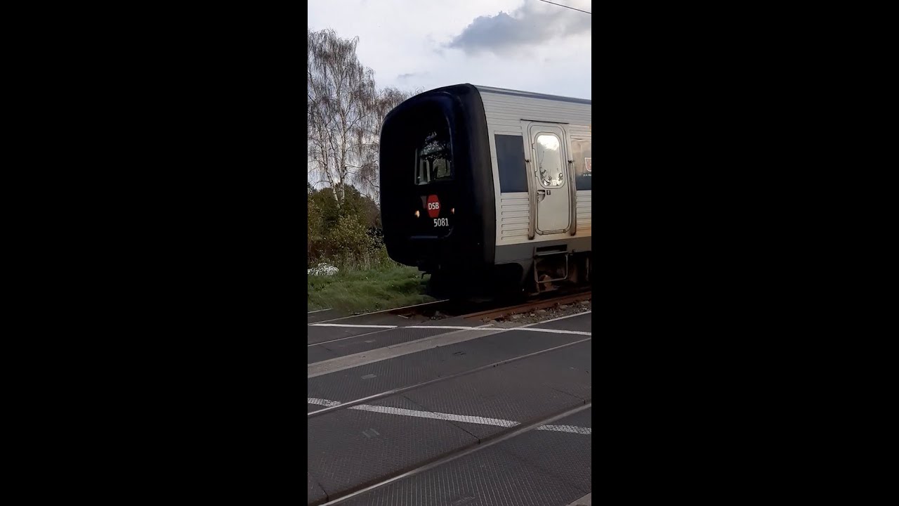🚆 Triebzug Typ MFA 5081 'Gumminase' der DSB f&auml;hrt als IC 386 am B&uuml; Timmaspe in Richtung Aarhus