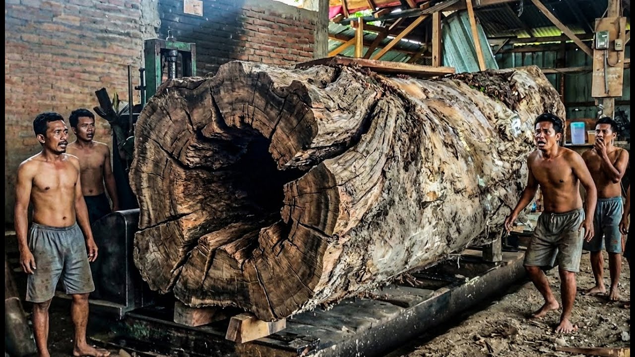 WHAT A SURPRISE!! Giant Trembesi Wood Nearly Causes Disaster at the Sawmill