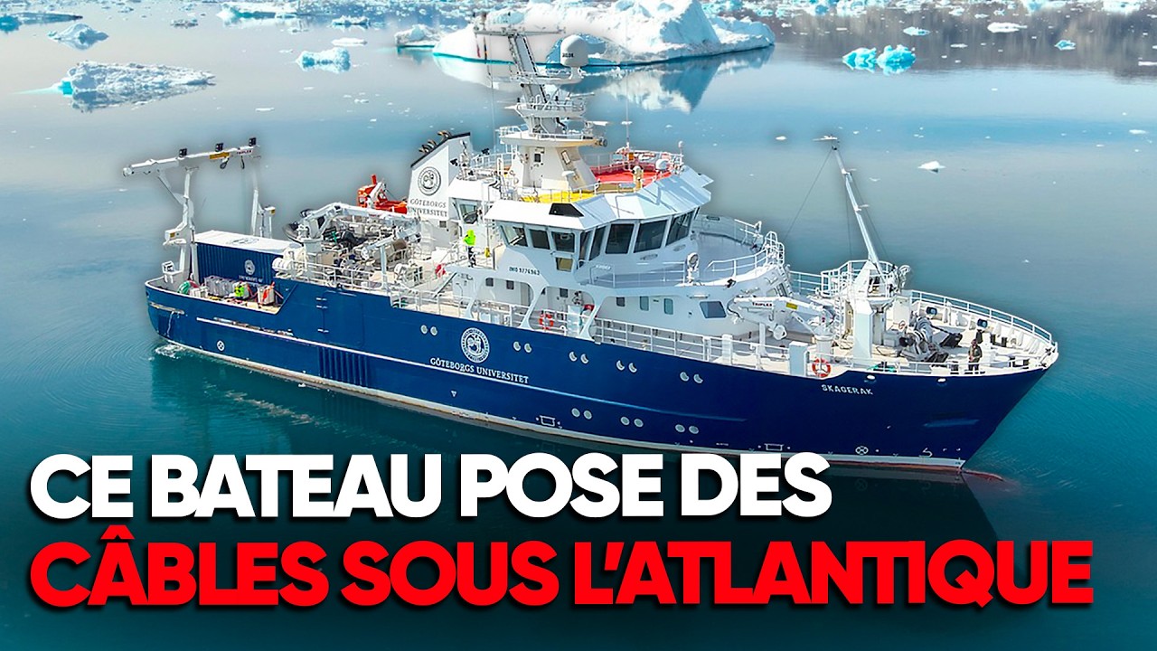 Le QUOTIDIEN à bord des plus GROS NAVIRES du monde - Documentaire Complet - GAD