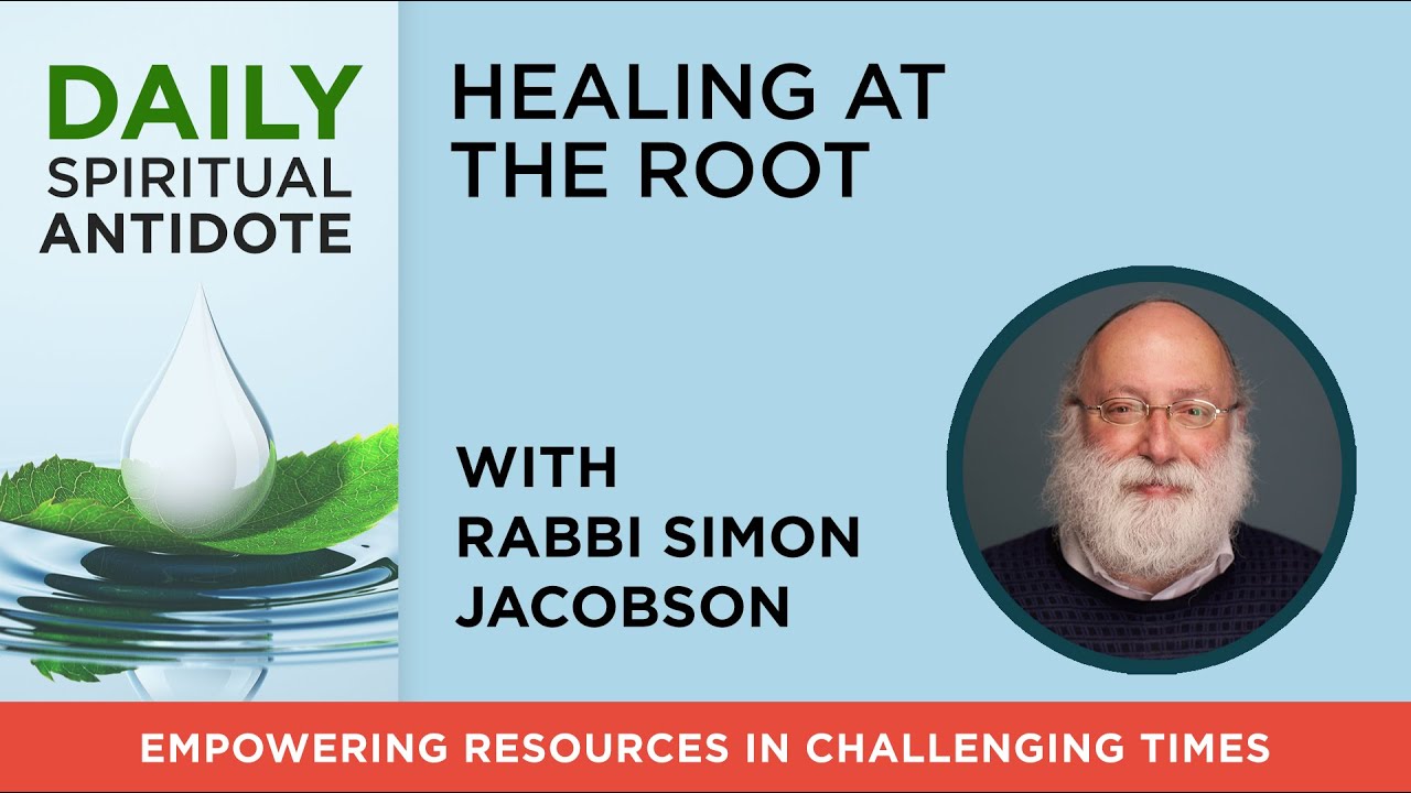 Healing at the Root | with Rabbi Simon Jacobson | Daily Spiritual Antidote #116