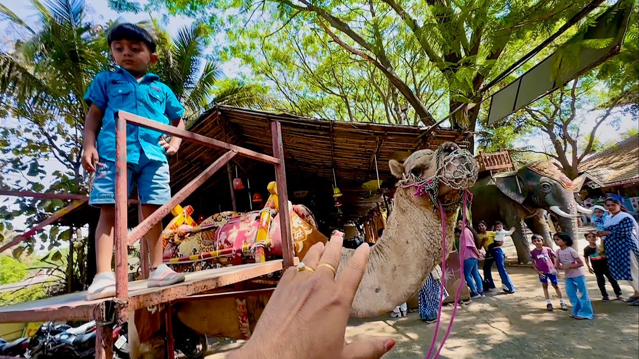 उंटावर बसायला माऊली घाबरला 🫢
