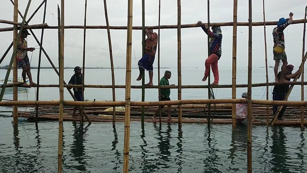 Ganito ang Pagtatayo namin ng mga kawayan sa dagat.. Pagpapatubo ng Tahong..