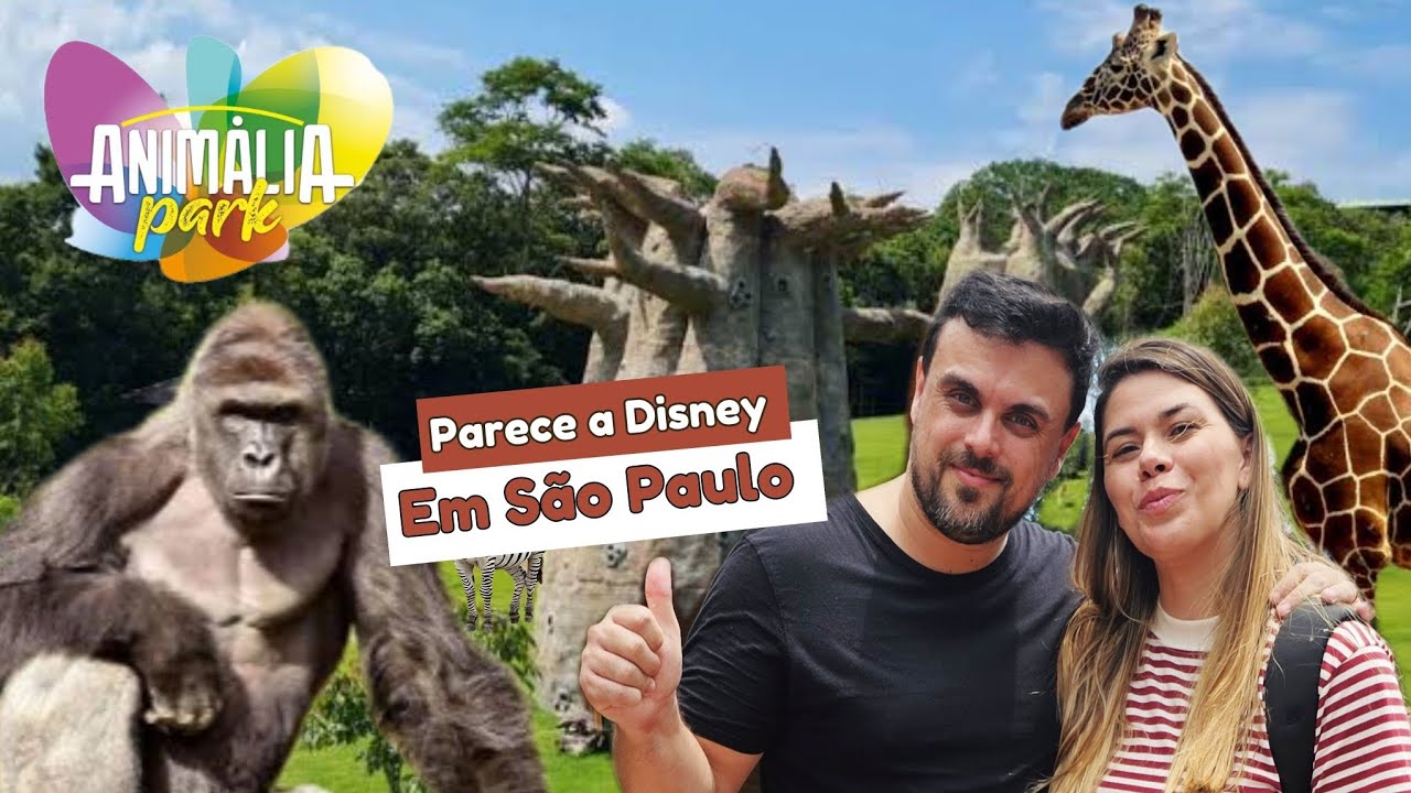 ANIMALIA PARK 2025 ! TODAS AS DiCAS, COMIDAS, PREÇOS.
