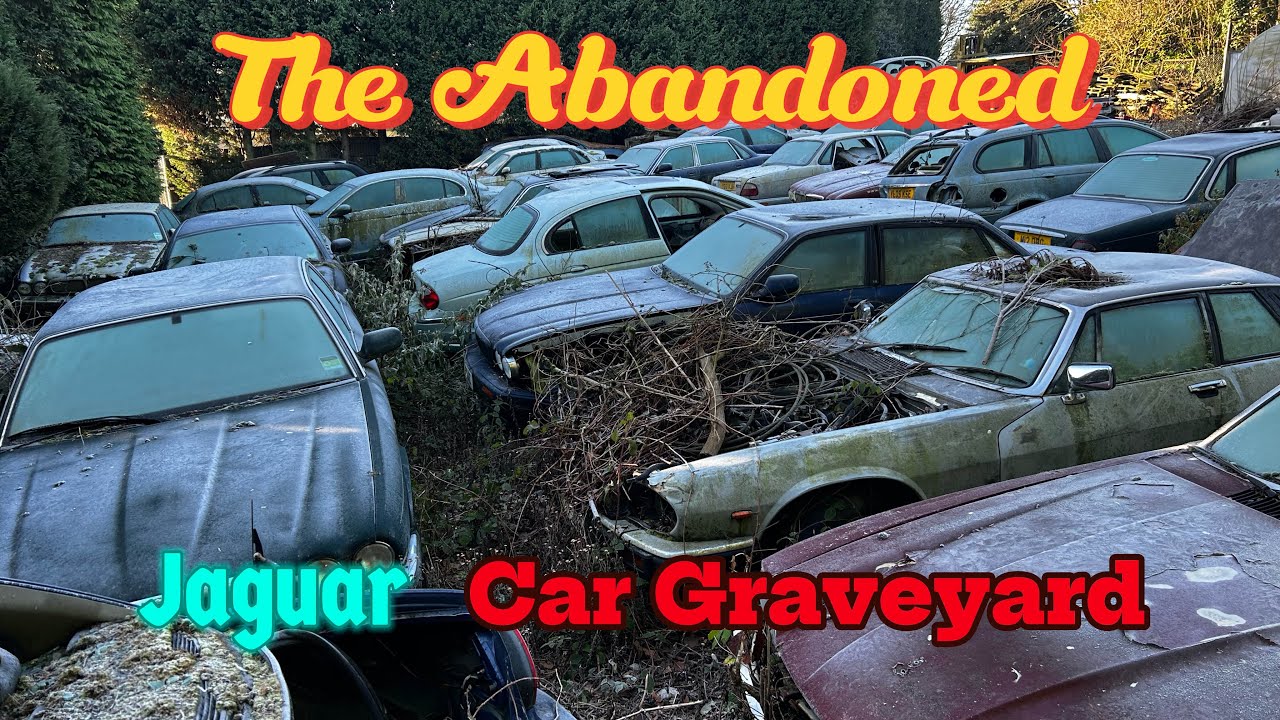 We Explore A Jaguar Car Graveyard - abandoned places