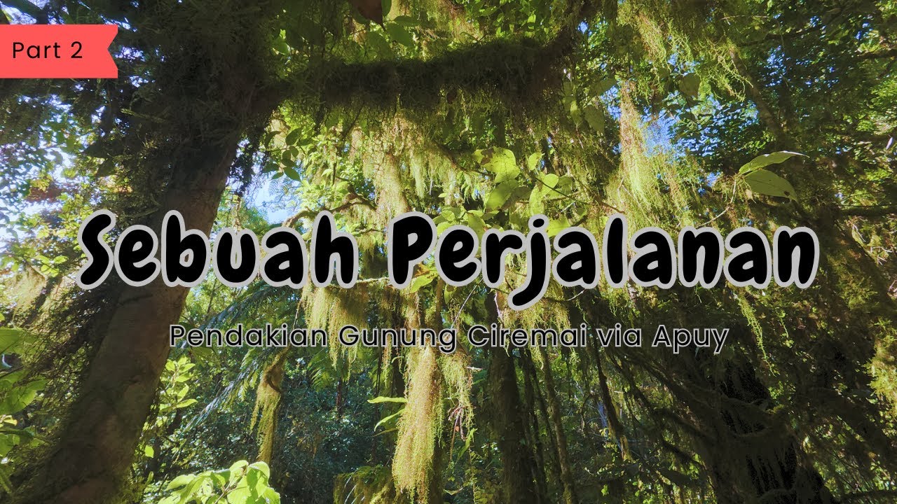 Awal dari Sebuah Perjalanan | Gunung Ciremai via Apuy Part 2