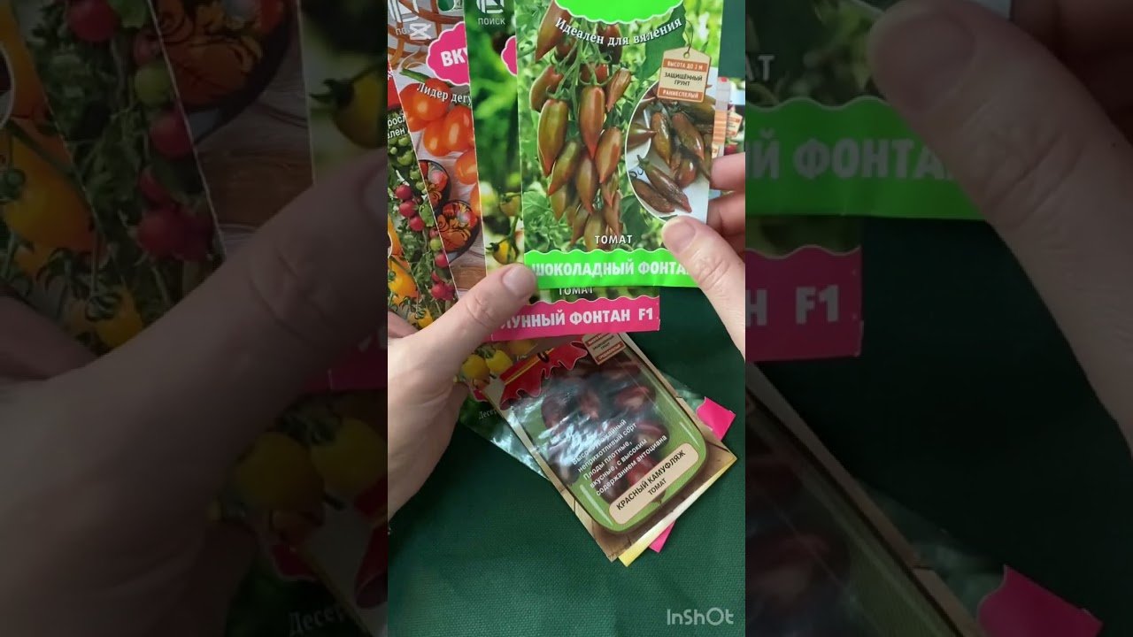 Томаты черри и коктейльные 2026🤤 Что-то повторю, а что-то высажу в первые 🤞🏻😊