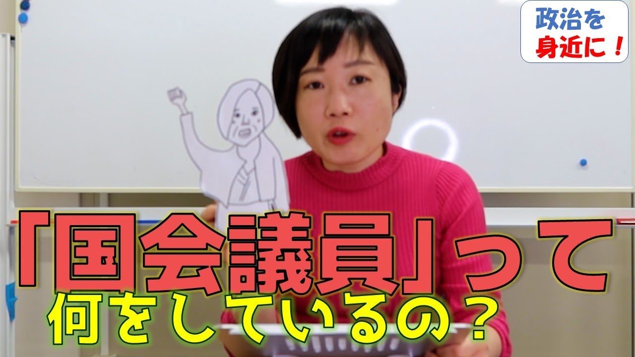 国会議員って何をしているの？