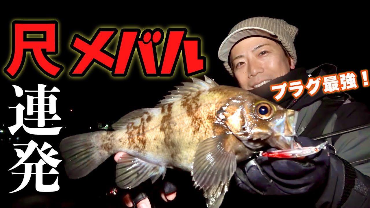 ごく普通の堤防からプラグで尺メバル連発‼️この釣りが最強すぎる✨
