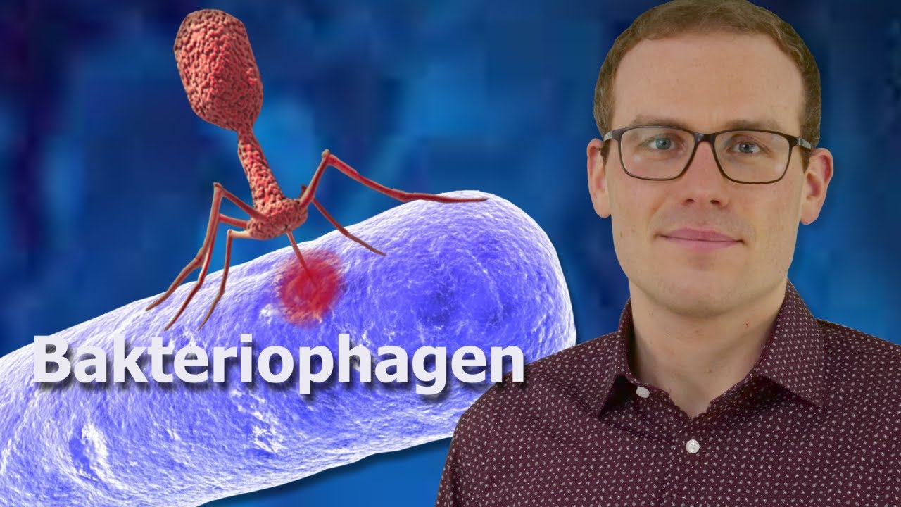 Warum die wichtigste Alternative zu Antibiotika kaum jemand kennt
