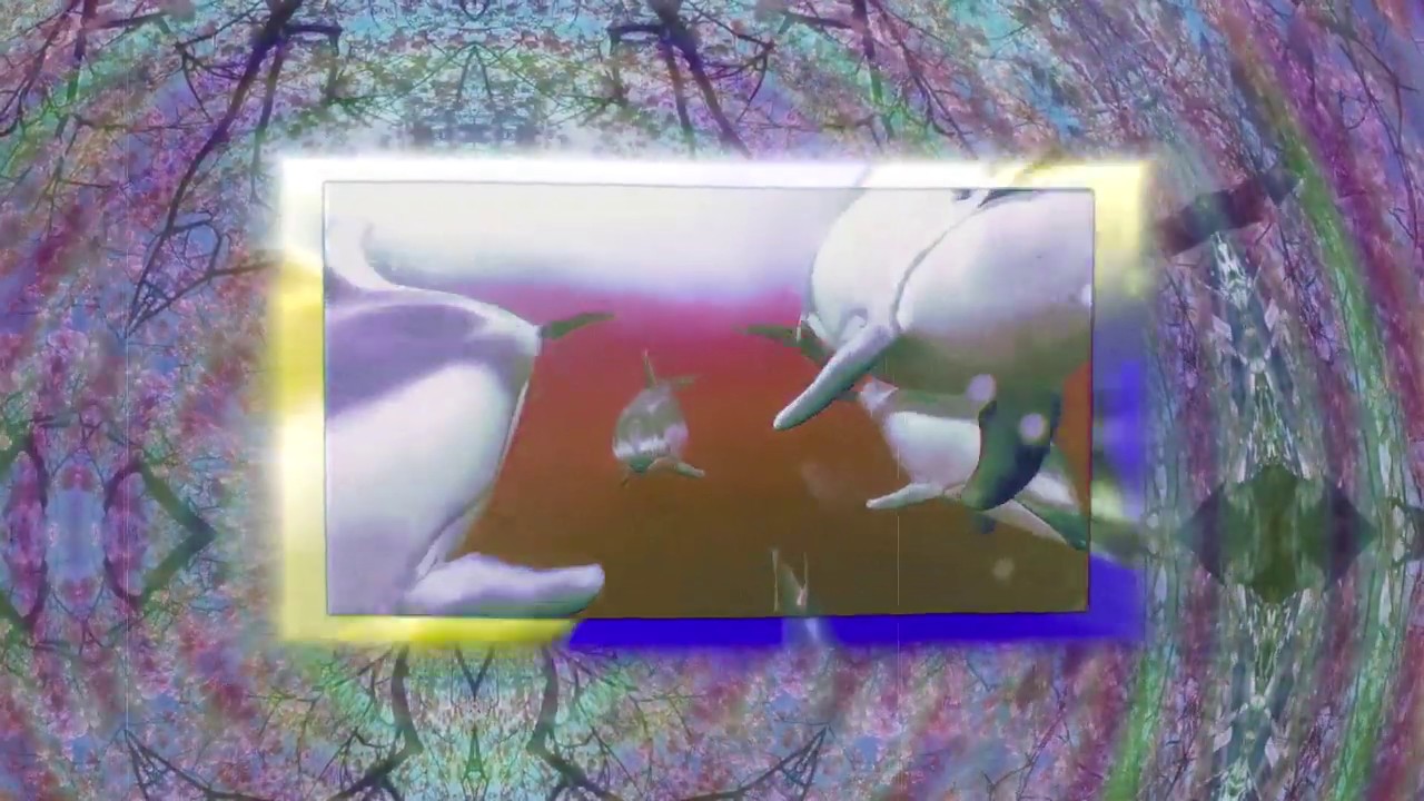 *FREE* MAC DEMARCO x GREAF Type Beat 