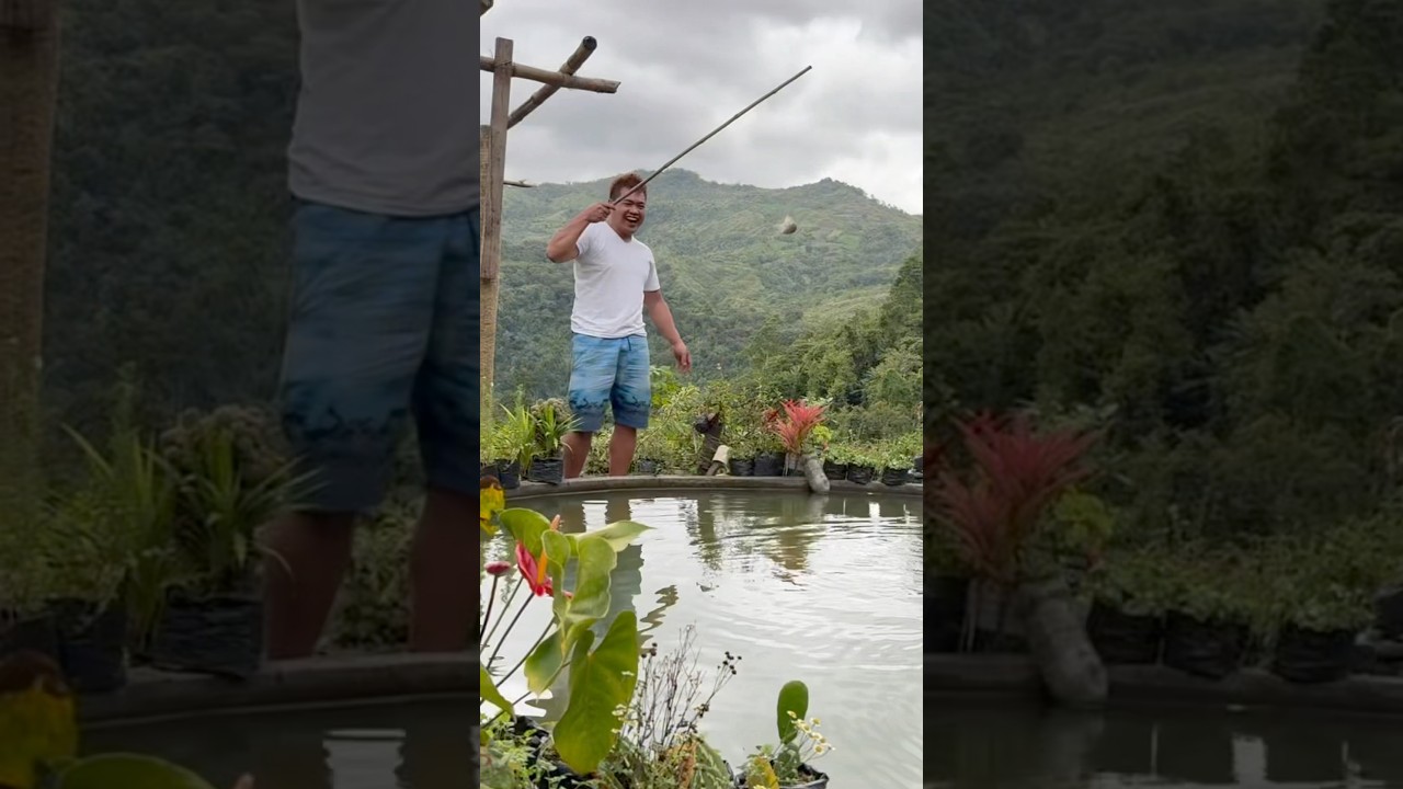 Natural life in the Philippines #traditional fishing #travel #nature #provincelife