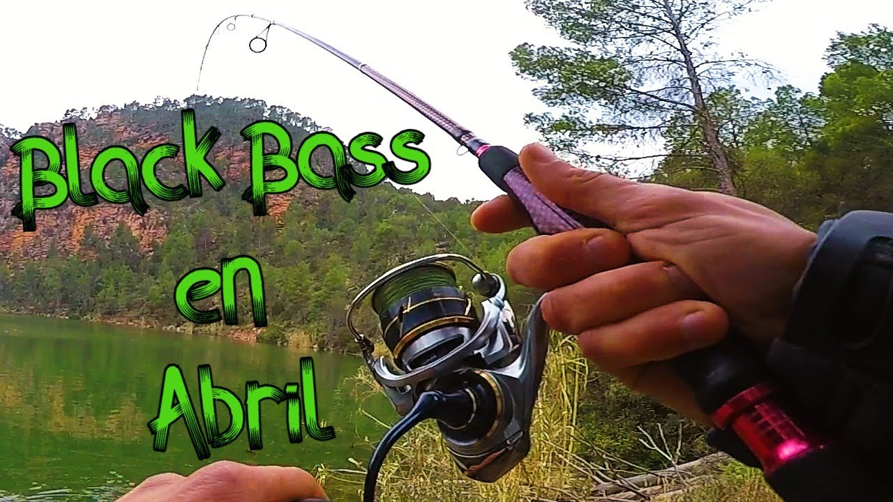 19 # ➡️ ¿𝑫𝑶𝑵𝑫𝑬 𝑬𝑵𝑪𝑶𝑵𝑻𝑹𝑨𝑹𝑳𝑶𝑺? Pesca del 𝙗𝙡𝙖𝙘𝙠 𝙗𝙖𝙨𝙨 𝙮 𝙡𝙪𝙘𝙞𝙤 𝙚𝙣 𝙖𝙗𝙧𝙞𝙡 🧐