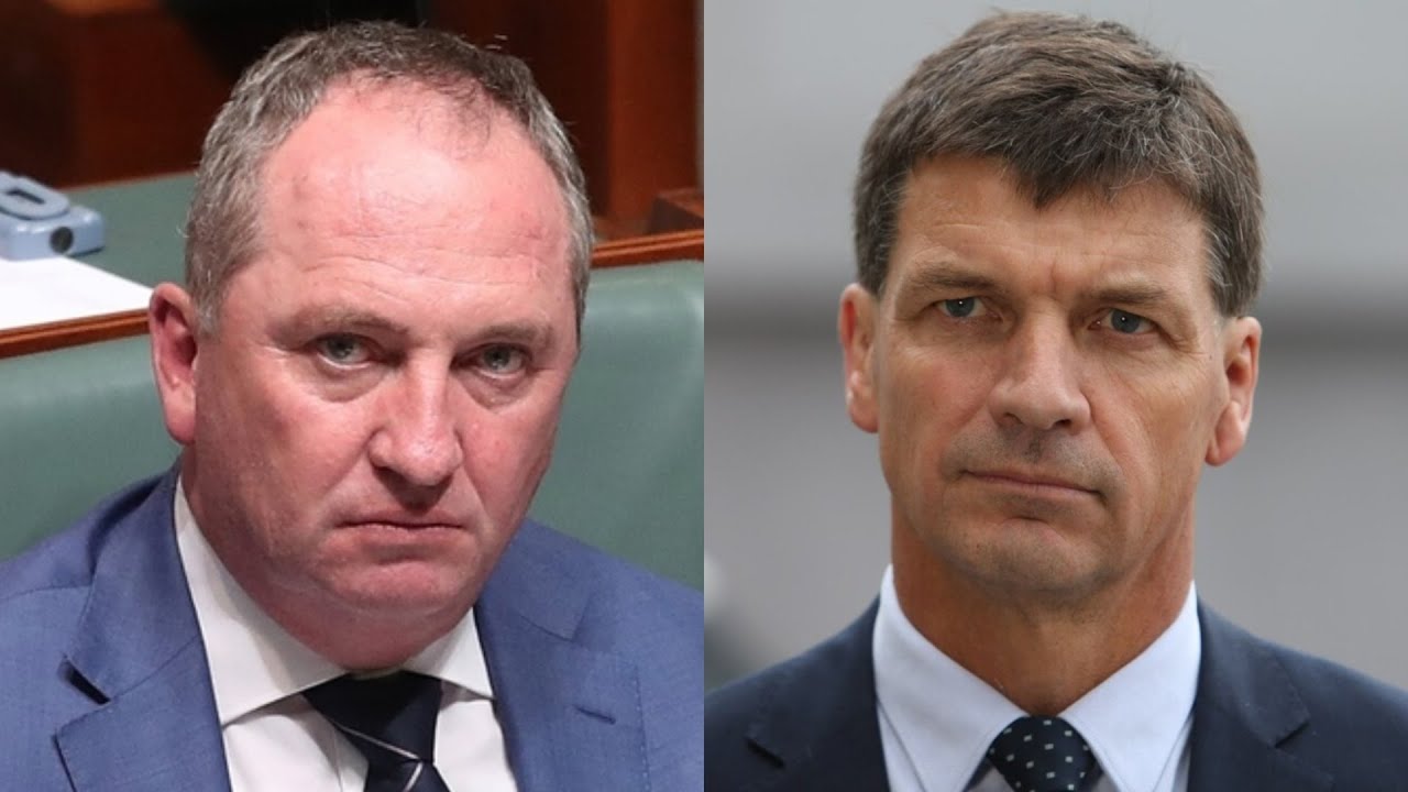 Joyce warns Taylor ‘didn’t have a good run’ as Labor ‘gets away with blue murder’
