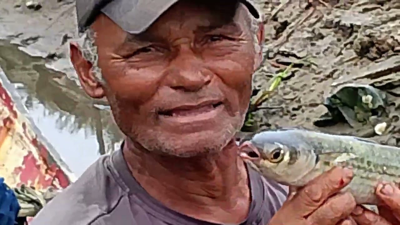 O peixe que entrou no chiqueiro