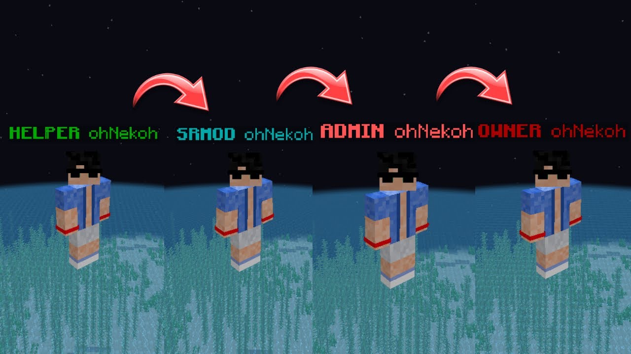 COME SUPERARE IL PROVINO DA HELPER SU CORALMC!