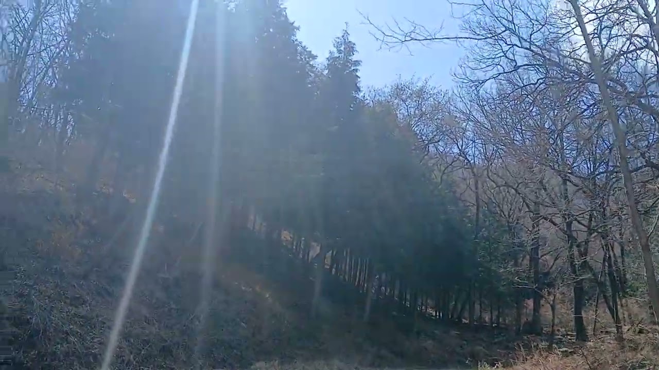 벽방산 기슭 보건운동ㆍ걷기운동 / 조베베 댄스 #JoBeBeDance #dancer #dance #조베베댄스 #댄스 