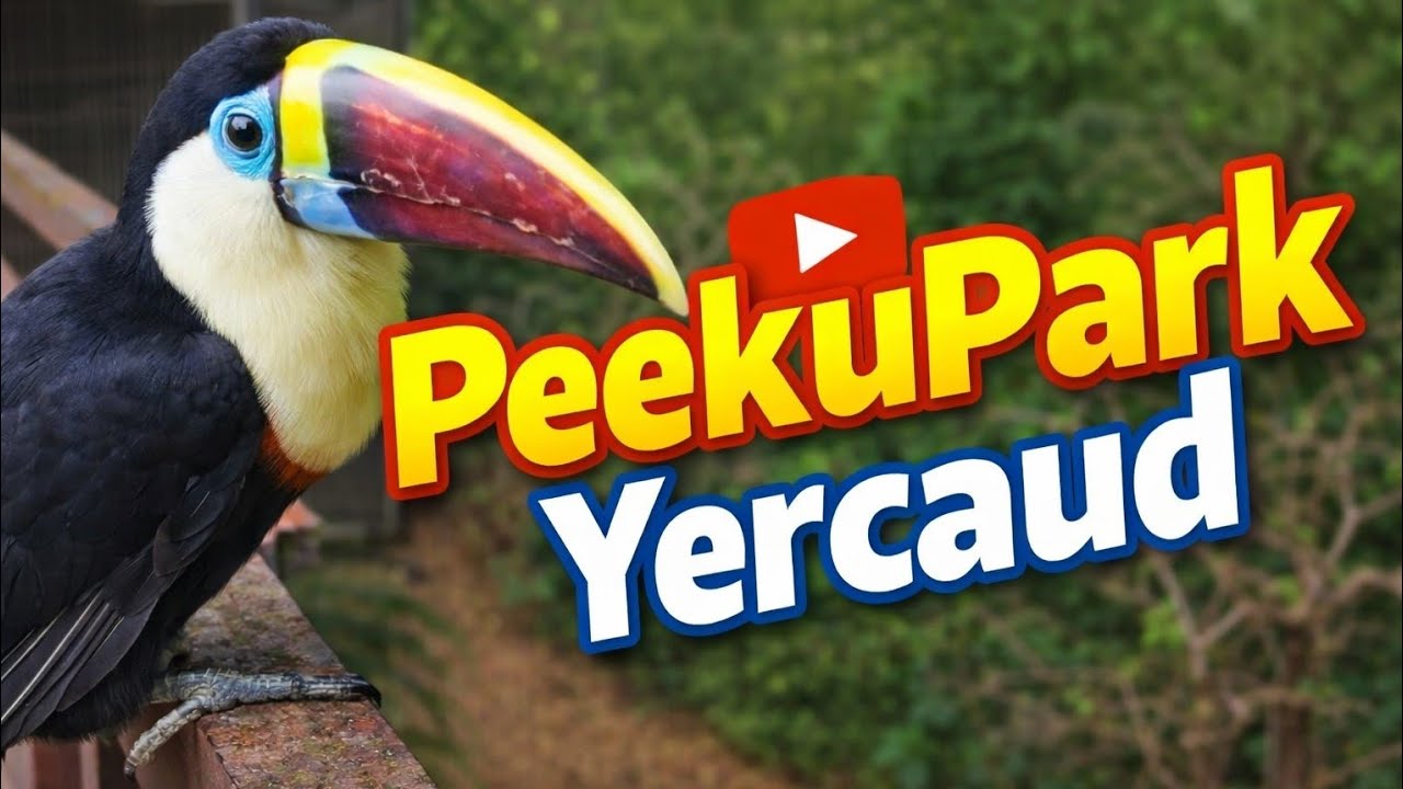 Peekupark - Yercaud Birds Park