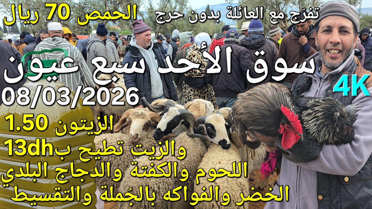 أثمنة الغنم والدجاج واللحوم والخضر سوق الأحد سبع عيون اليوم 08/03/2026