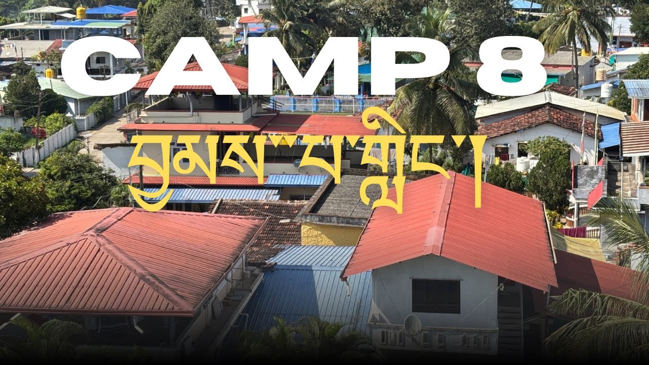 Camp no 8 Tour Mundgod | TseChomphel Insense 8177867949 #mundgod #tibetanvlogger #tibet