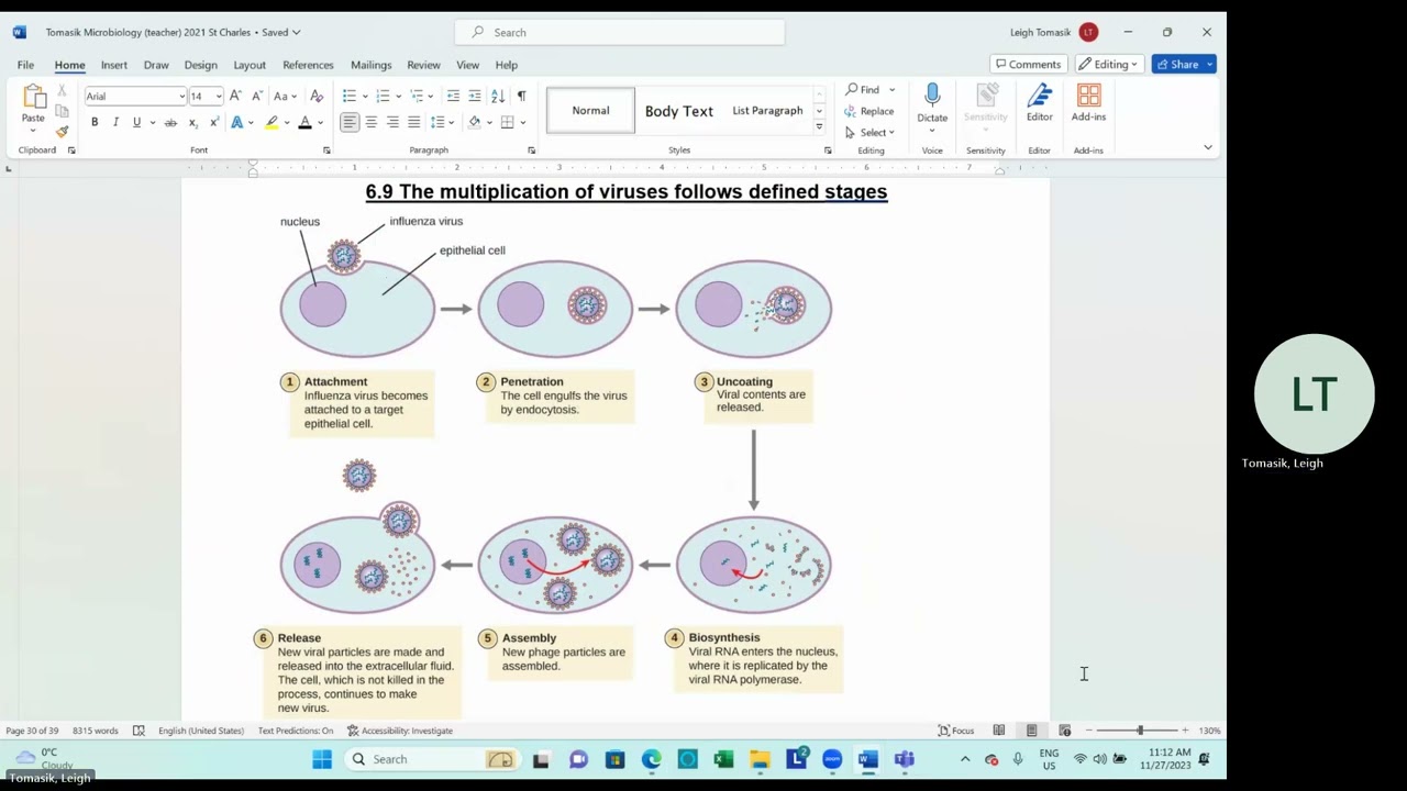 SBI3C Unit 5   Microbiology   Lesson 3   Viruses