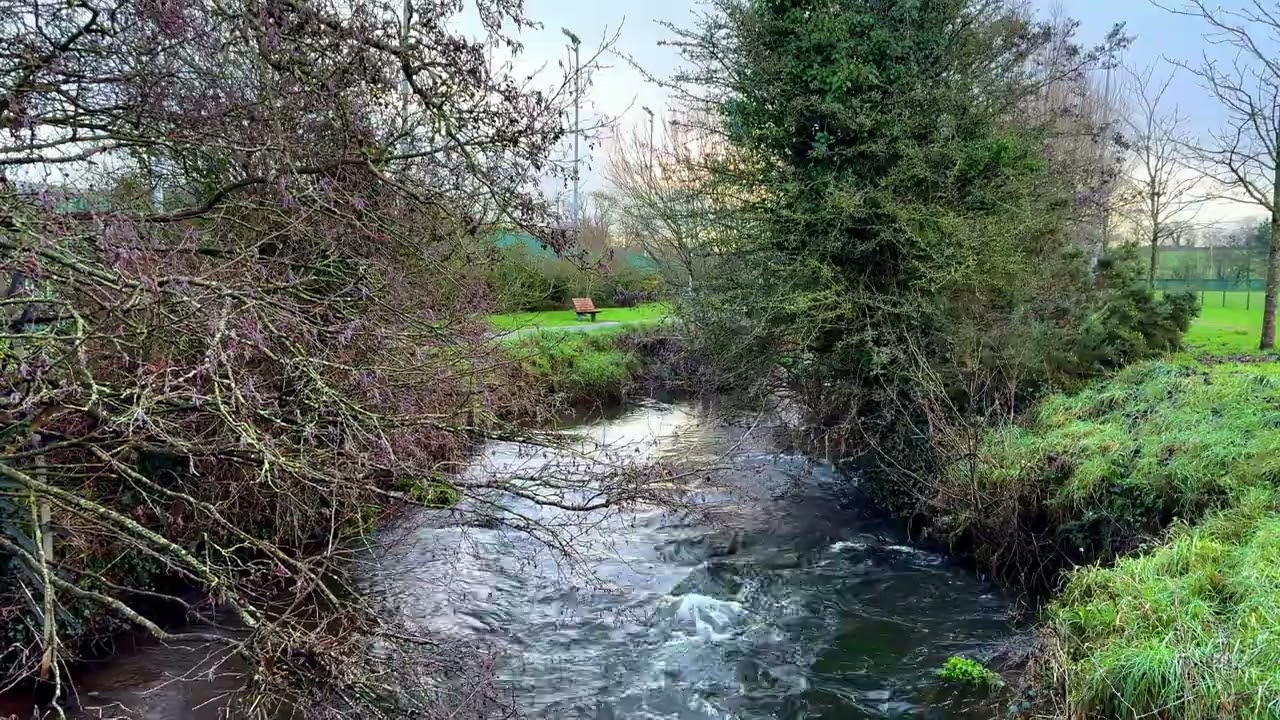 A moment for reflection |River Flow Natural Sound|4K