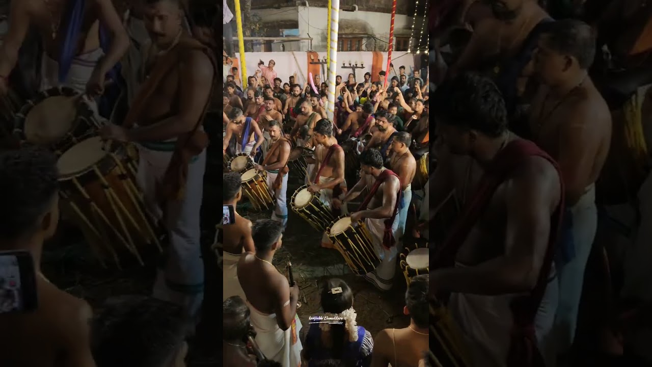 തിരുകലാശം 🔥/ആൽത്തറ ഭഗവതി ക്ഷേത്രം 🙏/പള്ളിപ്പുറം വൈശാഖ് 🔥/#pandimelam #entertainment #shortvideo 