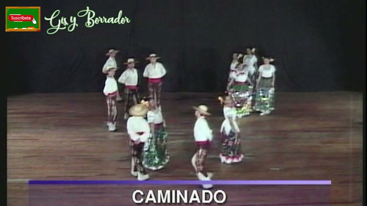 Jarabes poblanos (con #PasosBásicos) Baile foclkórico del estado de Puebla, México