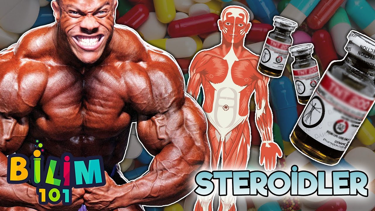 Steroid Çeşitleri Ve Steroidler Hakkında Her Şey! | DEV DOSYA Steroid 101!