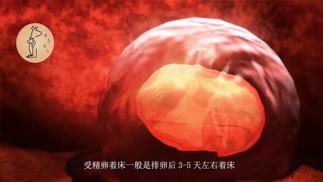 【懷孕】【備孕】孕媽們還記得&ldquo;受精卵著床&rdquo;時的感覺嗎？
