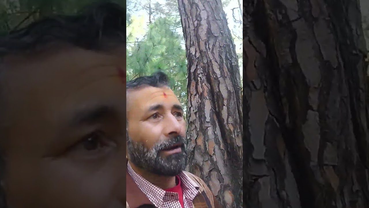 अल्मोड़ा सोमेश्वर से क्षेत्रपाल मंदिर के दर्शन करने का सौभाग्य प्राप्त हुआ 