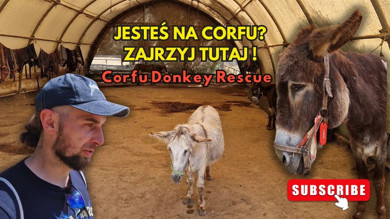 Corfu Donkey Rescue: Misja ratowania osiołków 🐾 odwiedź to miejsce !