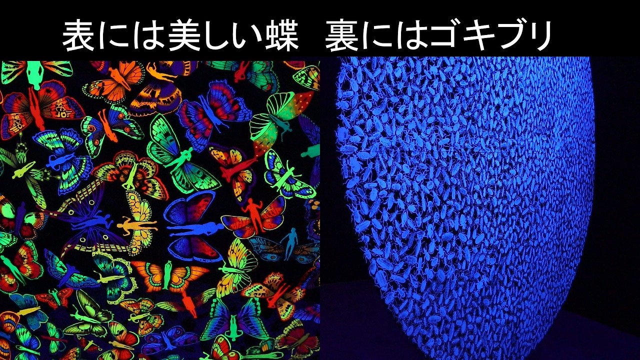 GYRE GALLERY SECOND NATURE 2026年3月12日 ZADOKBENDAVID
