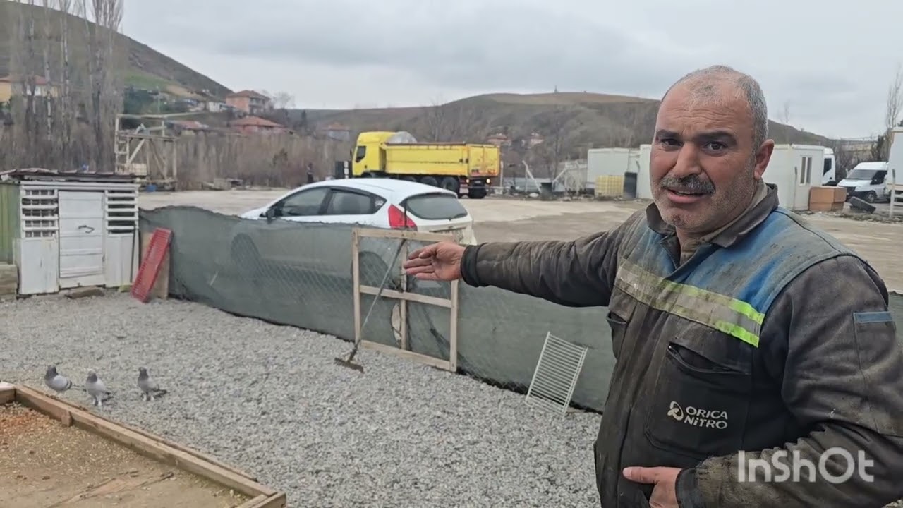 Şampiyon Antep'li Mehmet abimizden aldığımız 4 adet kuşu 10 Şubat 2026