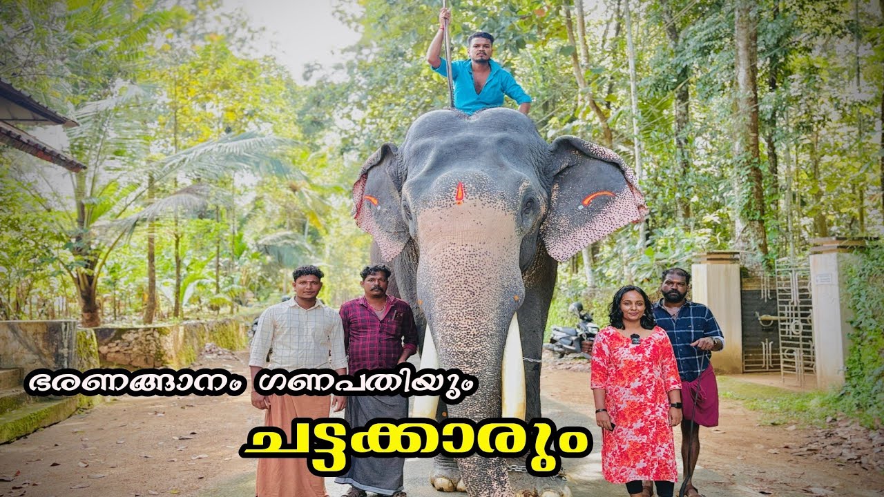  ഭരണങ്ങാനത്തിന്റെ 🐘❣️🐘കുഞ്ഞൻ | ഭരണങ്ങാനം ഗണപതി | Bharananganam Devaswom Ganapathi | T4Trip 