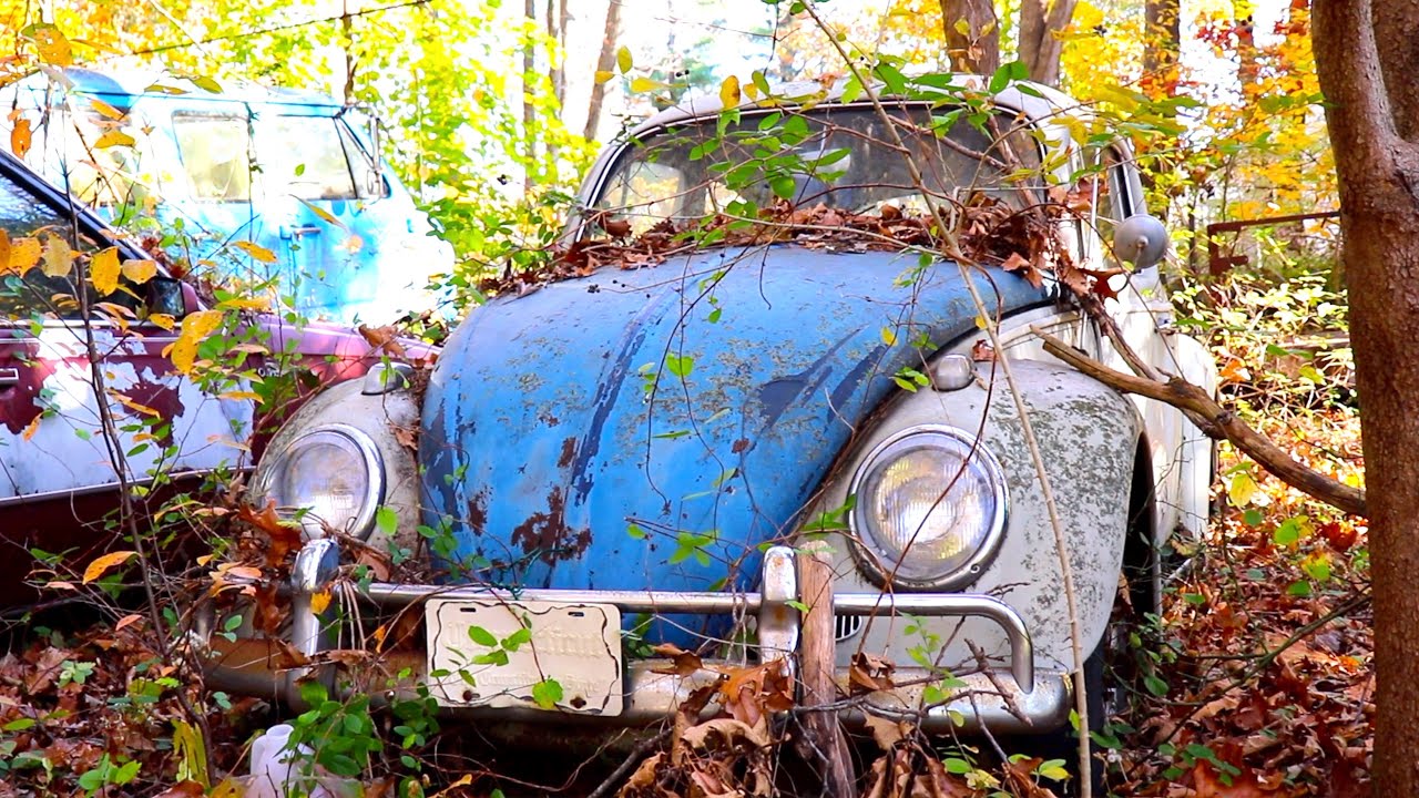 Найден и спасён VW Beetle 1964 года | 