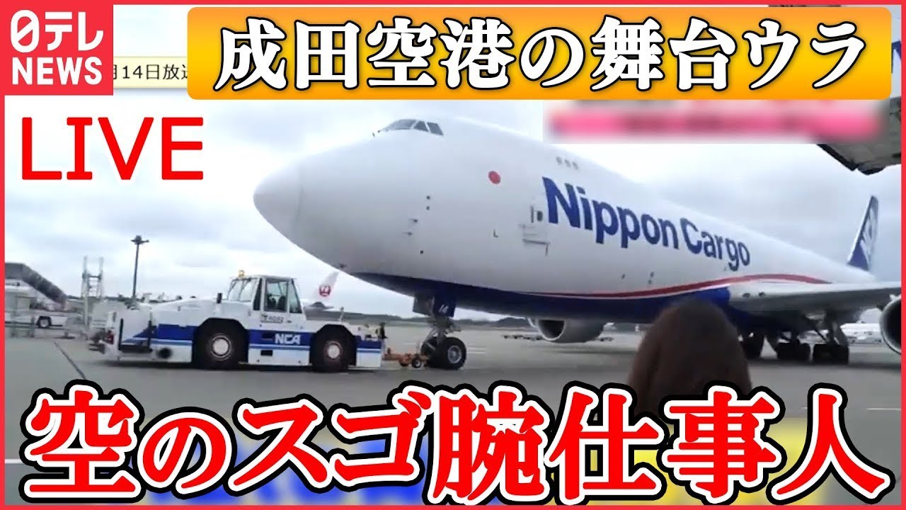 【成田空港の舞台ウラ】「航空管制」“新人女性”デビューに密着/ ピーク時のスゴイ滑走路/ 出発直線「音が違う…」/ 「安全に空へ」風を読む女性 など（日テレNEWS LIVE）