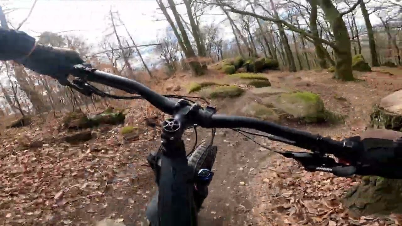 Salamander Trail
