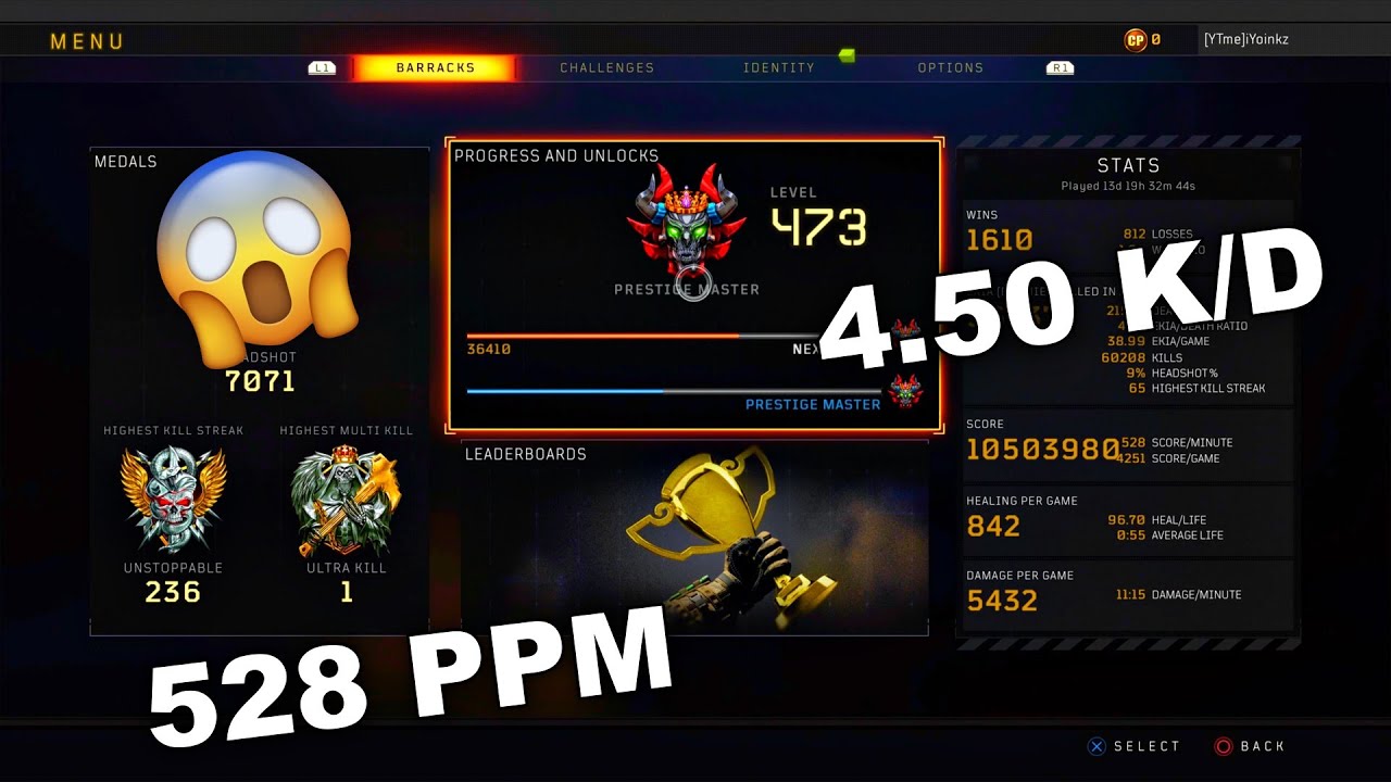 PRO/ BESTE EINSTELLUNGEN für BO4 + ELITE CLASS SETUPS!