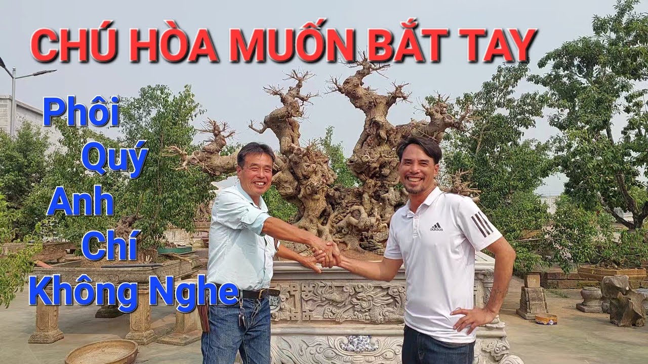 CHIÊM NGƯỠNG PHÔI QUÝ của anh CHÍ mà chú HÒA TAXI muốn sở hữu thì QUÝ NHƯ THẾ NÀO ?