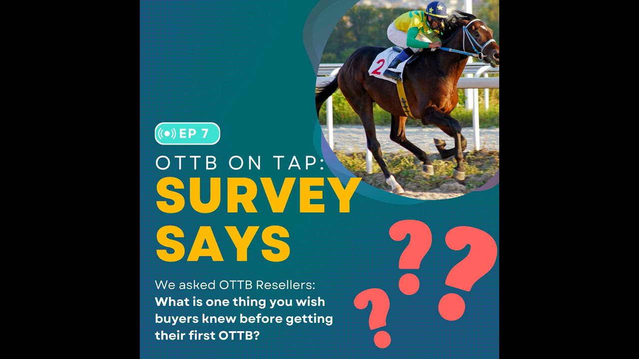 Ep.7 -- What Resellers Wish You Knew About OTTBs