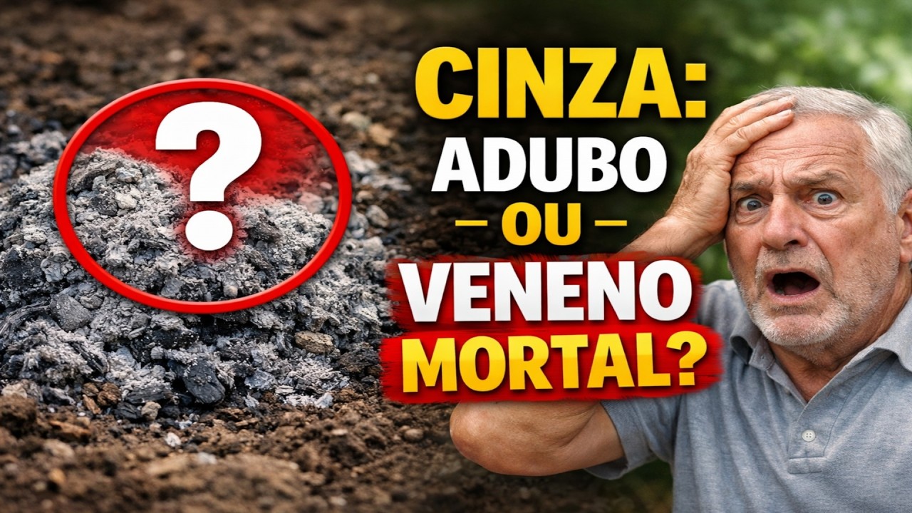 TODA A VERDADE SOBRE A CINZA: É adubo ou VENENO para a sua plantação?