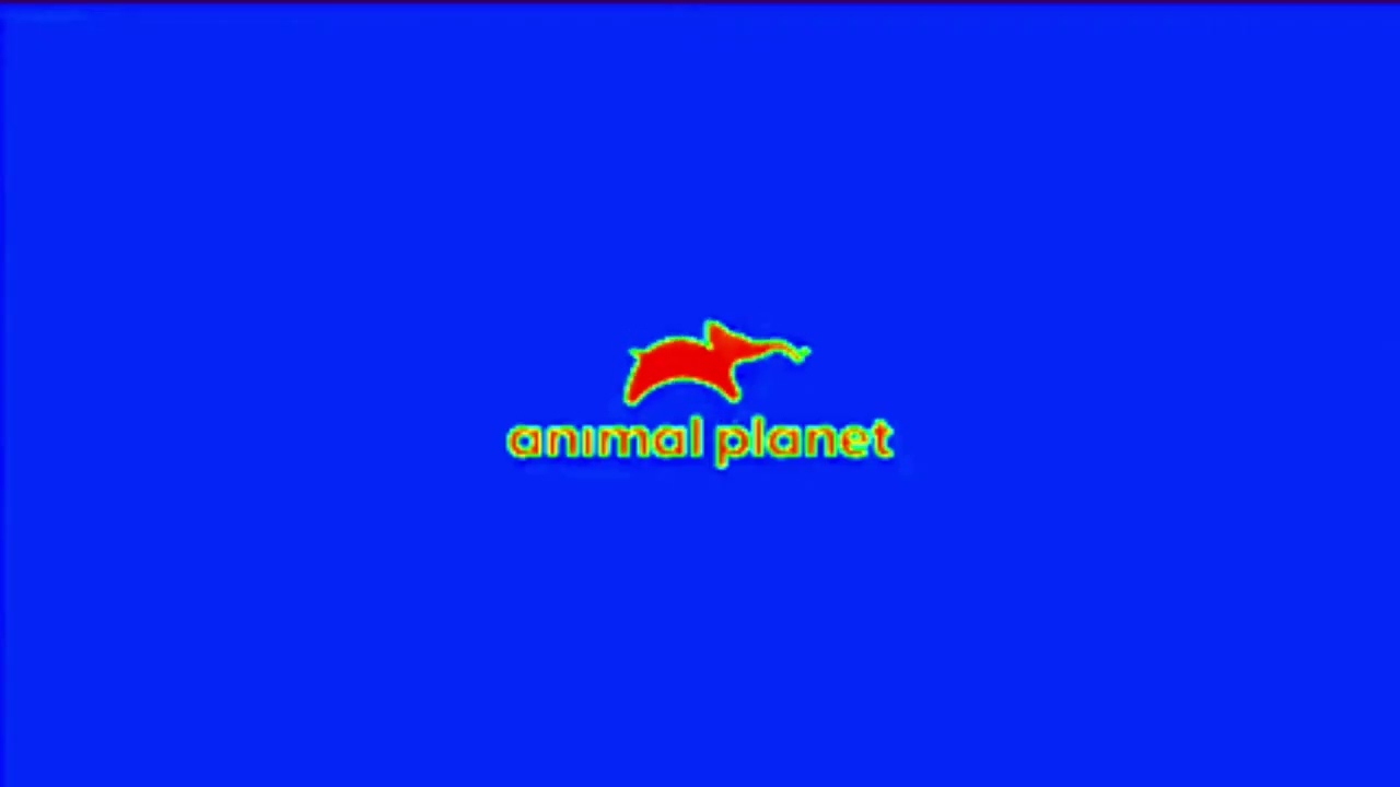 Заставка Animal planet С Эффектами N°1 Screensaver Animal planet With Effects N°1