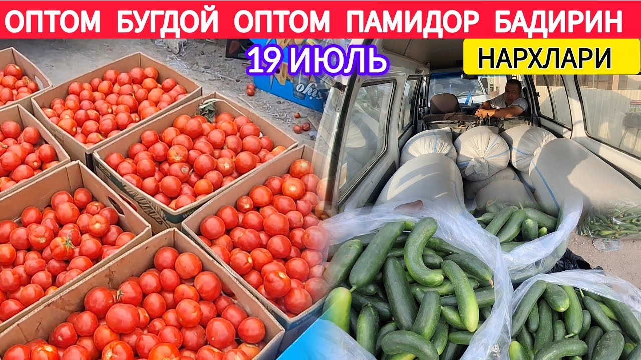 ОПТОМ БУГДОЙ ОПТОМ🍅 ПАМИДОР 🥒БАДИРИН НАРХИ ХОРАЗМ ХАЗОРАСП БОЗОРИ 19 ИЮЛЬ 2025-ЙИЛ !!! ХОРАЗМ ОБЗОР