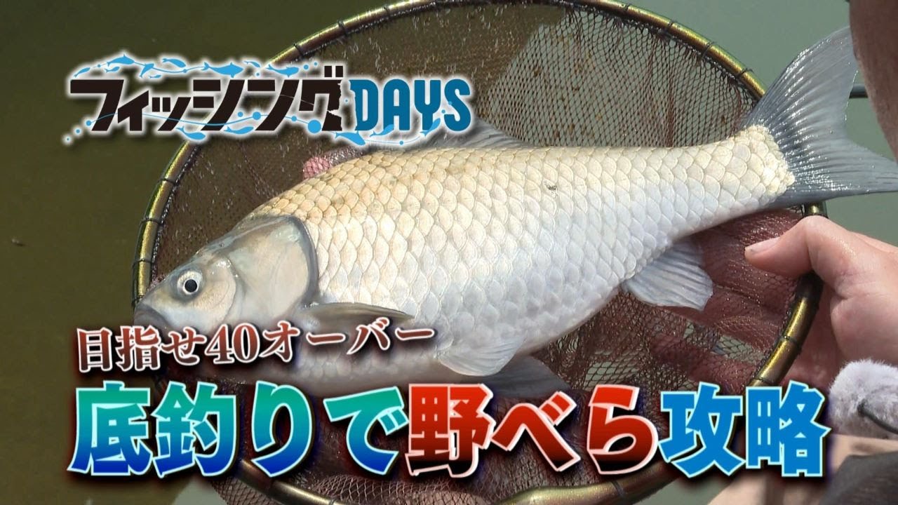 フィッシングDAYS　「目指せ４０オーバー 底釣りで野べら攻略」