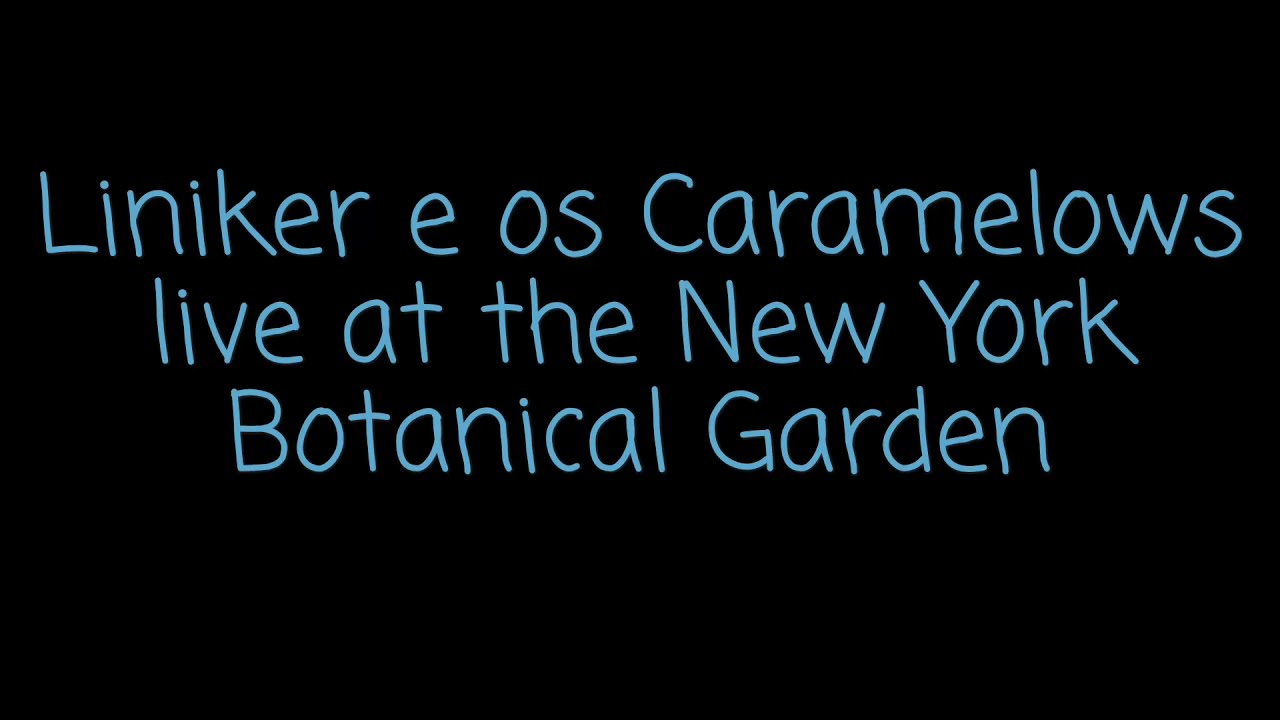 Liniker e os Caramelows Brazil Summerfest live at New York Botanical Garden - 06.15.2019