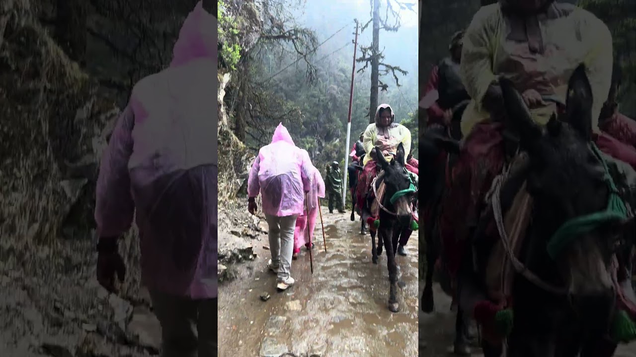 BEST AND LOW BUDGET  SHOES BEST FOR 4 DHAM YATRA UTTARAKAND  . KEDARNATH  2025 CHECK DESCRIPTION