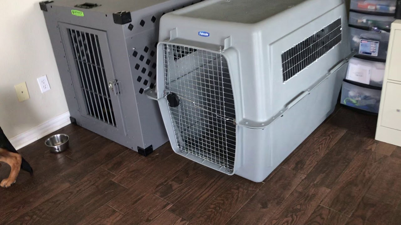 Impact Dog Crate vs Petmate crate for German Shepherd.
