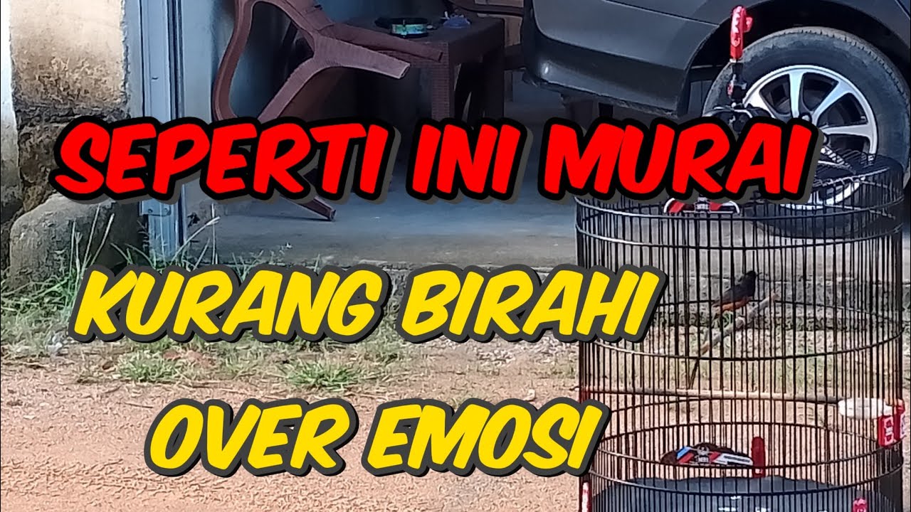 MURAI KONDISI KURANG BIRAHI OVER EMOSI